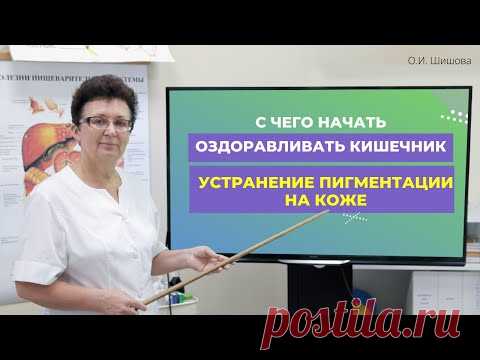 С ЧЕГО НАЧАТЬ ОЗДОРАВЛИВАТЬ КИШЕЧНИК. УСТРАНЕНИЕ ПИГМЕНТАЦИИ НА КОЖЕ. [Шишова О.И.]