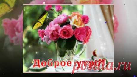 Rutube Студия