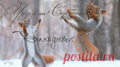 Уррааа! Суббота! Выходные!