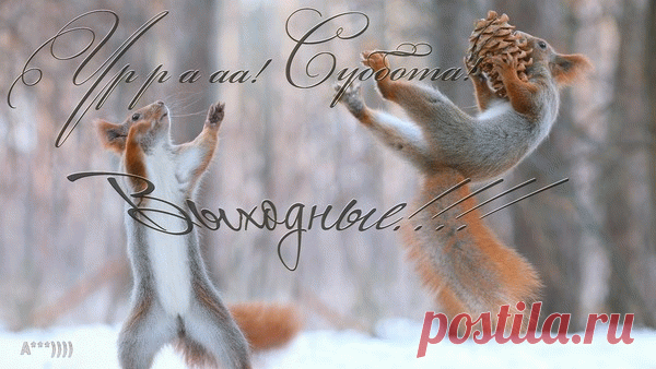 Уррааа! Суббота! Выходные!