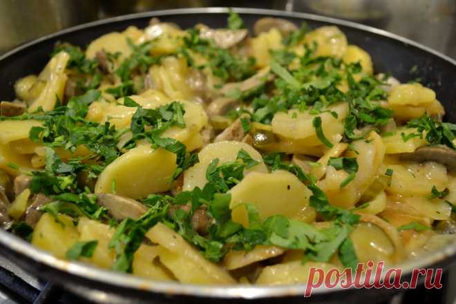 Рагу из свиных почек и картофеля: изысканное блюдо совсем недорого - Кулинарный блог Люблю готовить рагу — это блюдо позволяет фантазировать, соединять в одном рецепте разные продукты. В моей копилке есть чисто овощные и рагу с мясом. Рецепт со свиными почками...