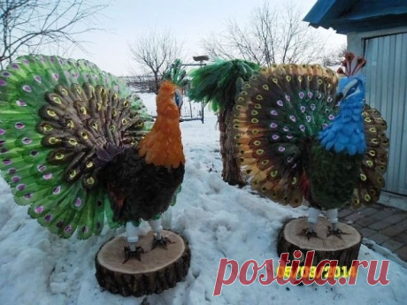 Вторая жизнь пластиковых бутылок