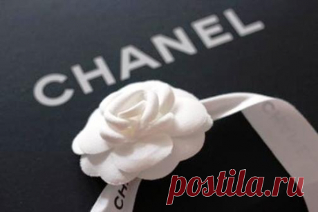 Любимый цветок Коко. Как камелия стала символом модного дома Chanel История одной из самых узнаваемых эмблем дома Chanel – прекрасного цветка камелии.Фото: Chanel
Камелия – это роза без шипов, эмблема красивых, но бессердечных женщин, согласно древнегреческому мифу, ч…