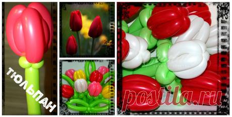 Тюльпан И букетик из него