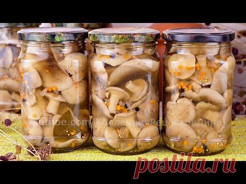 🍄Маринованные лесные грибы - Рядовка дымчатая или Говорушка дымчато-серая на зиму 🍁🍂