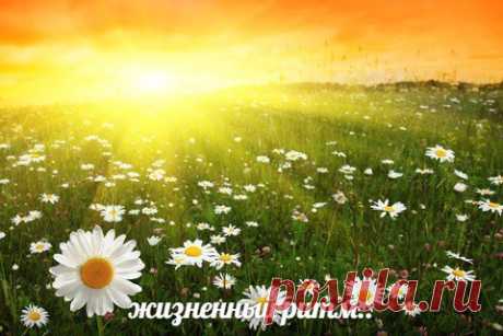 Луч солнца-меняет настроение на весь день
Доброе утро