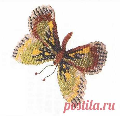 Бабочка зеленая и мотылек / Насекомые / Biserok.org