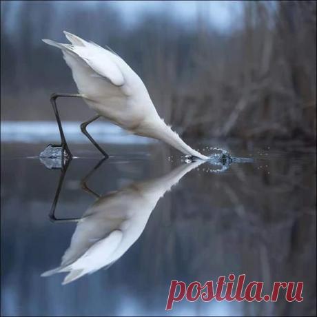 Интересные новости