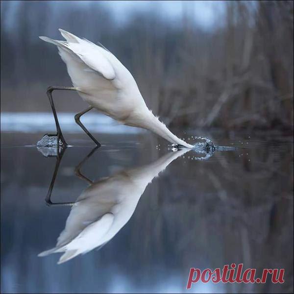 Интересные новости