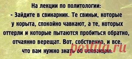 (5) Facebook