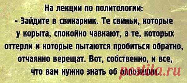 (5) Facebook