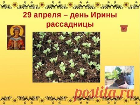 "С днем Арины поздравляю!
«Урви берега», — весна кричит.
Тебе, я желаю,
Пусть жизнь от радости бурлит! Открытки на Арина - «урви берега»!"