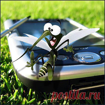 Как избавиться от комаров натуральными способами.