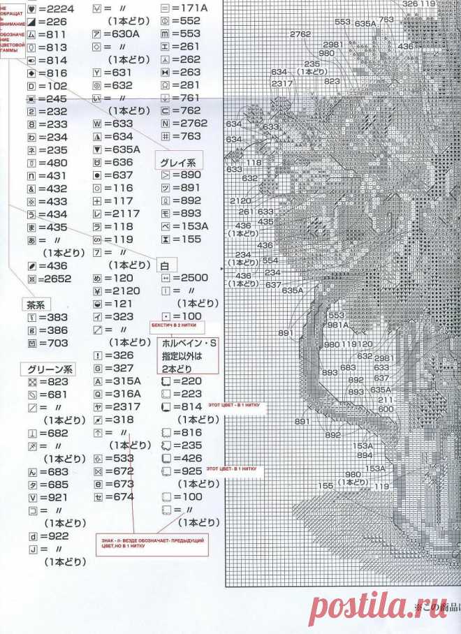 634(2) - 1218631790563.jpg (893×1229)