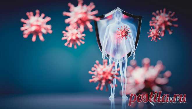 Ученые раскрыли механизм обезоруживания коронавируса в организме | Genokarta.ru | Дзен