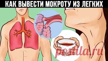 Удалите слизь из легких и избавьтесь от сильного кашля за 1 ночь! Пришла пора простудных заболеваний, бронхитов и воспаления лёгких! Если Вы страдаете от сильного кашля, то этот рецепт поможет Вам! Когда у человека постоянный кашель, то ему тяжело работать, постоянно болит в груди, голова ноет и, конечно же, Вы не можете нормально спать. Если у вас есть кашель, ваш врач, вероятно, назначит вам сироп от кашля, так как большинство из них считают, что это лучшее решение для кашля.