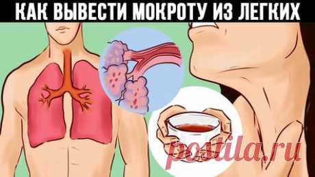 Удалите слизь из легких и избавьтесь от сильного кашля за 1 ночь! Пришла пора простудных заболеваний, бронхитов и воспаления лёгких! Если Вы страдаете от сильного кашля, то этот рецепт поможет Вам! Когда у человека постоянный кашель, то ему тяжело работать, постоянно болит в груди, голова ноет и, конечно же, Вы не можете нормально спать. Если у вас есть кашель, ваш врач, вероятно, назначит вам сироп от кашля, так как большинство из них считают, что это лучшее решение для кашля.