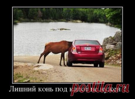 Везде обман (30 фото)