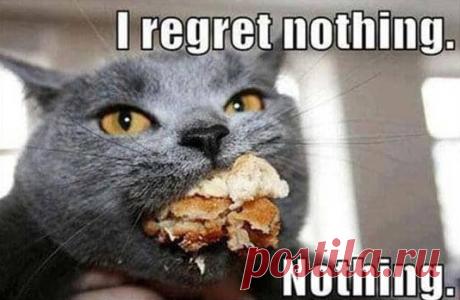 15 забавных животных, которые напоминают нас - Part 4