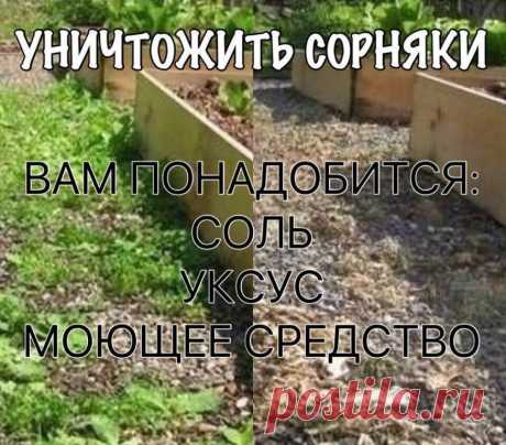 Уничтожить сорняки