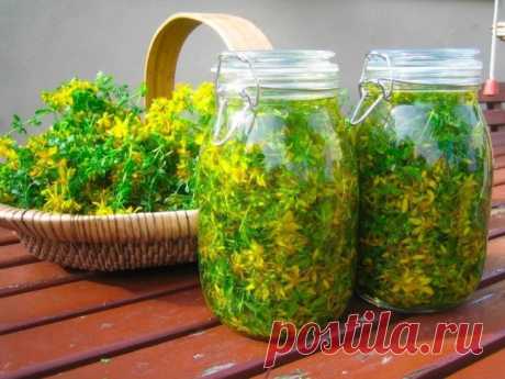 5 ПРОВЕРЕННЫХ РЕЦЕПТОВ