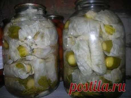 Огурцы в капустных листьях - Кулинарные рецепты / Домашний ресторан