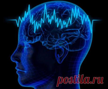 Наш мозг имеет способность изменяться, восстанавливаться и даже излечиваться в любом возрасте — Полезные советы