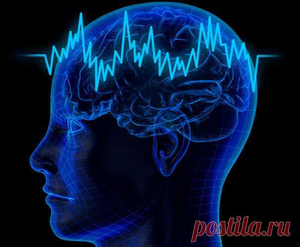 Наш мозг имеет способность изменяться, восстанавливаться и даже излечиваться в любом возрасте — Полезные советы