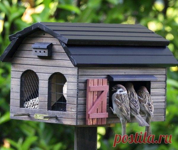 Кормушка для птиц: «столовая» для пернатых и украшение сада