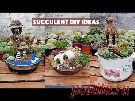 15 Succulent DIY Ideas| 15 ý tưởng trang trí sen đá| 多肉植物| 다육이들 | Suculentas