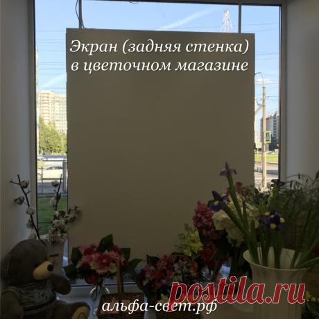 Экран в окне цветочного магазина
Светодиодные экраны в Санкт-Петербурге
xn----7sbajp6a7bkm3f.xn--p1ai
https://www.instagram.com/ekrany_tablo_podsvetka/
#экран #экранспб #экранвокне #светодиодныеэкраны #светодиодныеэкранспб #светодиодныйэкран #светодиодныйэкранспб #цветочный