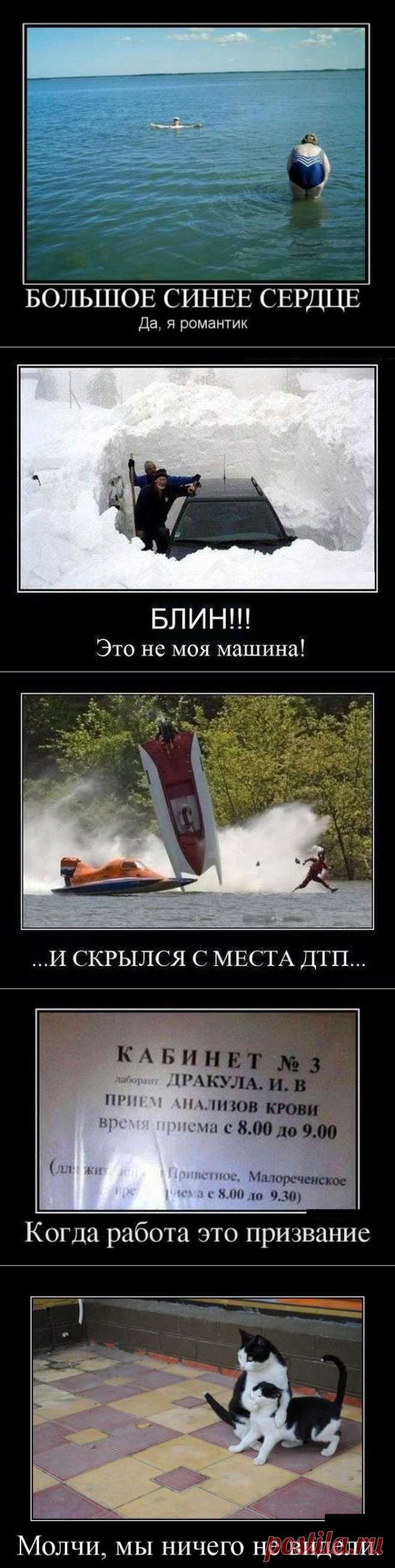 15 демотиваторов дня