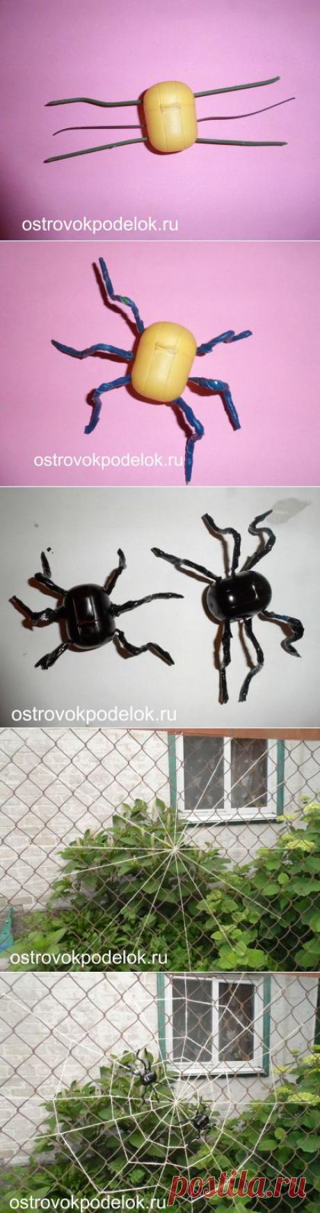 Пауки и паутина | Самоцветик