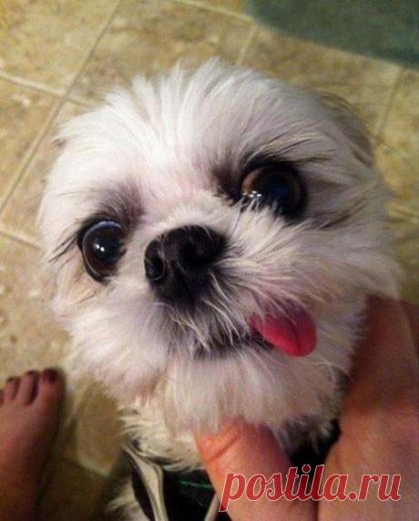 Облизательно)))