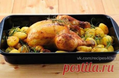 Запеченная курица / Всё за еду!