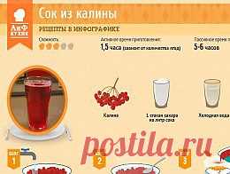 Как приготовить сок из калины - Кухня - Аргументы и Факты