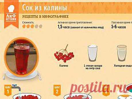 Как приготовить сок из калины - Кухня - Аргументы и Факты