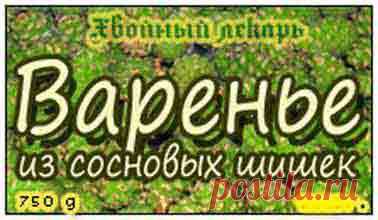 Варенье из молодых сосновых шишек, рецепты