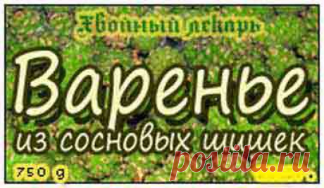 Варенье из молодых сосновых шишек, рецепты