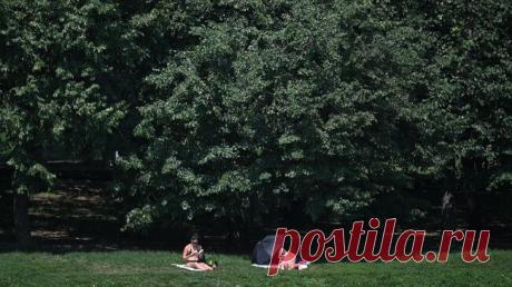 Климатолог объяснил частые ливни и волны жары в России изменением климата