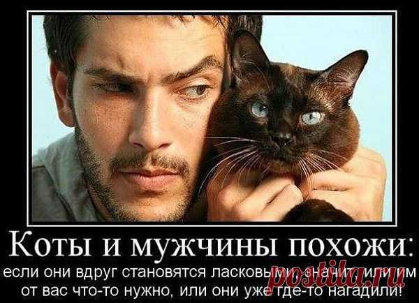 «Горячие» клавиши редактора WordPress
Обычно, многие пользуются горячими клавишами в Windows и в программах, но мало кто знает о том, что такие клавиши, есть и WordPress. Их применение существенно сокращает время написания постов, делая работу проще...