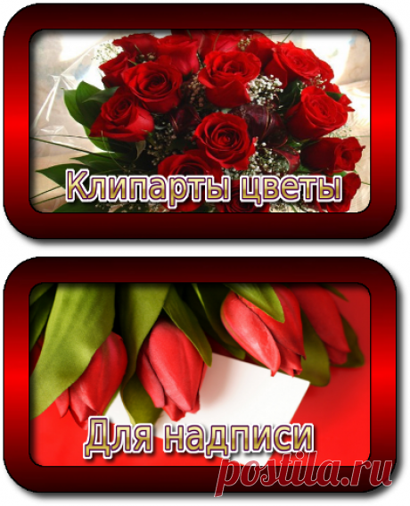 Мои альбомы на Яндексе