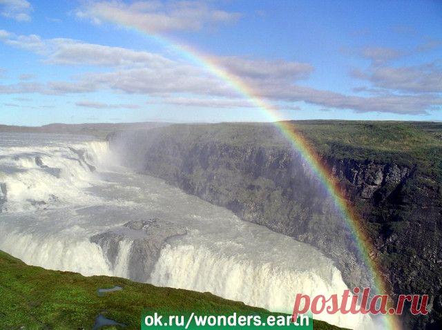 (5) Одноклассники