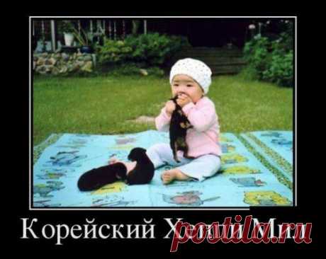 Пост прикольных картинок (45 шт)