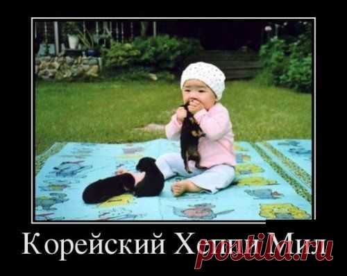 Пост прикольных картинок (45 шт)