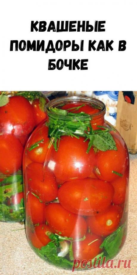 Квашеные помидоры как в бочке - Образованная Сова