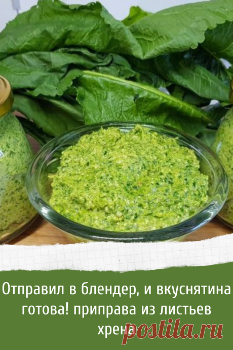 Рецепт заготовки из листьев хрена на зиму
