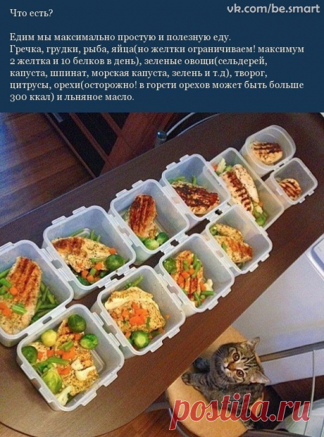 Простые правила питания☝