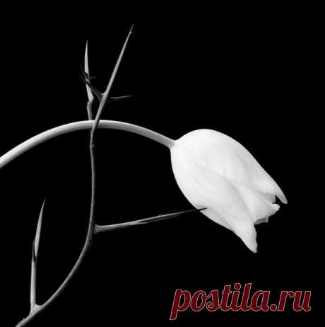 Олег Коваленко