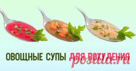Тщательная чистка организма супами. Всего 3 дня, можно есть сколько угодно Все мы знаем, как полезно хотя бы раз в день есть суп. Эту привычку нам с детства прививали бабушки, и сейчас она не утратила своей актуальности. Диетологи настоятельно рекомендуют есть супы, так как …